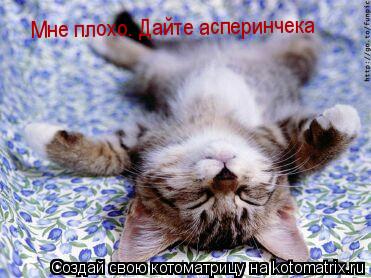 Котоматрица: Мне плохо.  Мне плохо. Дайте асперинчека