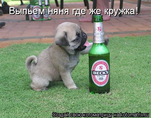Котоматрица: Выпьем няня где же кружка!