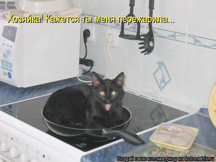 Котоматрица: Хозяйка! Кажется ты меня пережарила...