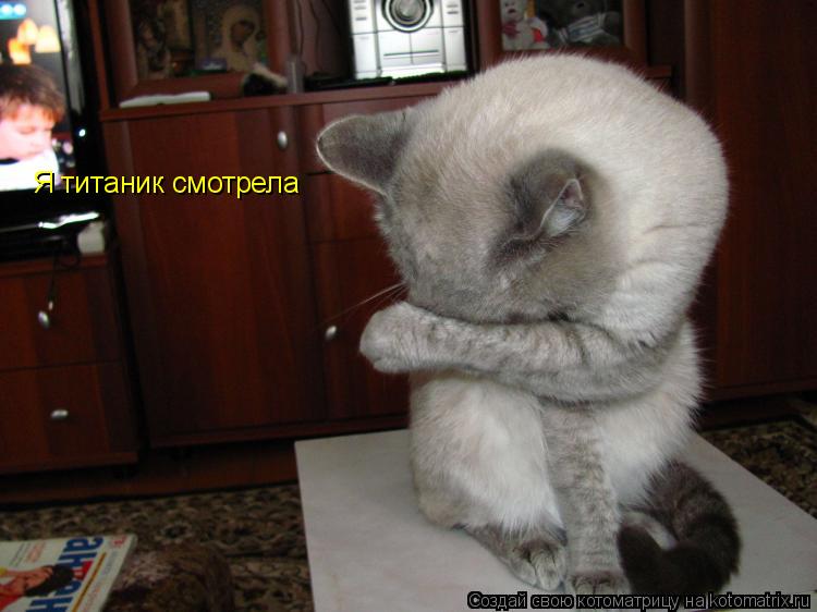 Котоматрица: Я титаник смотрела