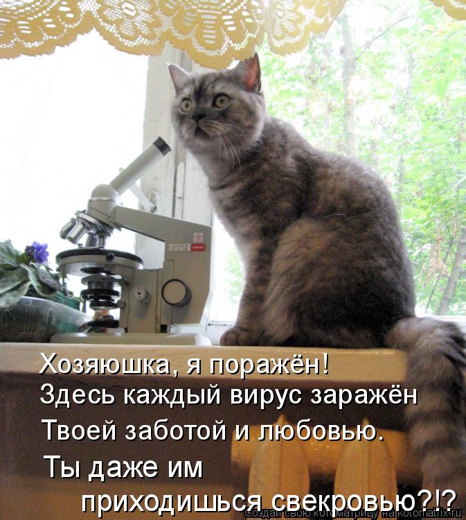 Котоматрица: Хозяюшка, я поражён! Здесь каждый вирус заражён Твоей заботой и любовью… Ты даже им  приходишься свекровью?!?