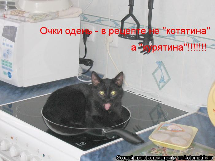 Котоматрица: Очки одень - в рецепте не "котятина" а "курятина"!!!!!!!