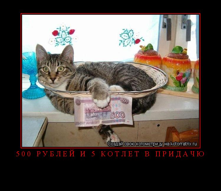Котоматрица: 500 рублей и 5 котлет в придачю 