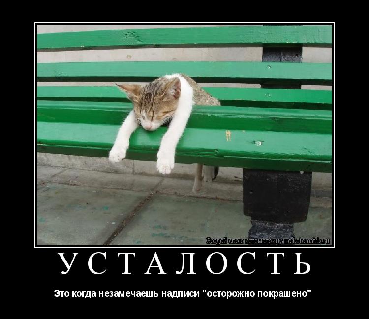 Котоматрица: Усталость Это когда незамечаешь надписи "осторожно покрашено" 