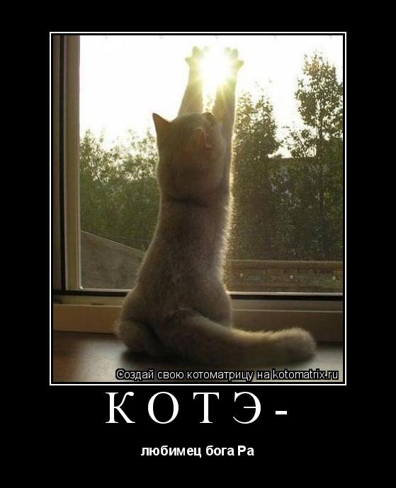 Котэ- любимец бога Ра... Котоматрица: Котэ- любимец бога Ра
