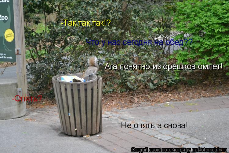 Котоматрица: Ага,понятно-из орешков омлет! Что у нас сегодня на обед?? -Так,так,так!? -Опять? -Не опять,а снова!