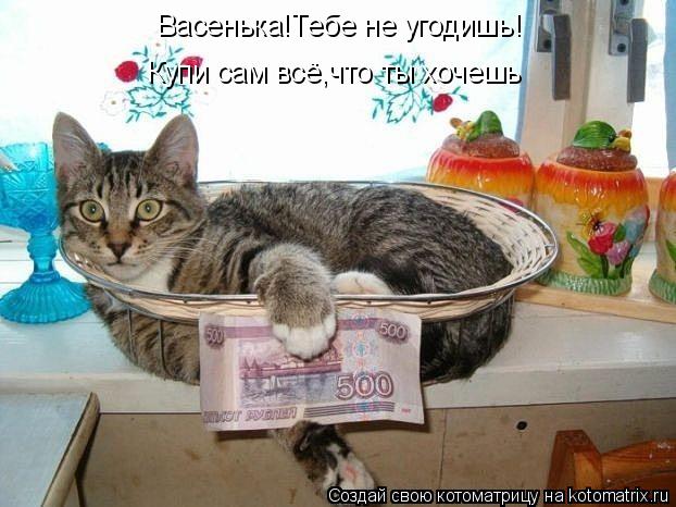 Васенька!Тебе не угодишь! Купи сам всё,что ты хочешь... Котоматрица: Васенька!Тебе не угодишь! Купи сам всё,что ты хочешь