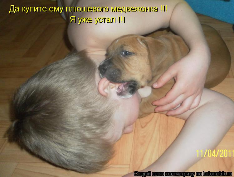 Котоматрица: Да купите ему плюшевого медвежонка !!! Я уже устал !!!