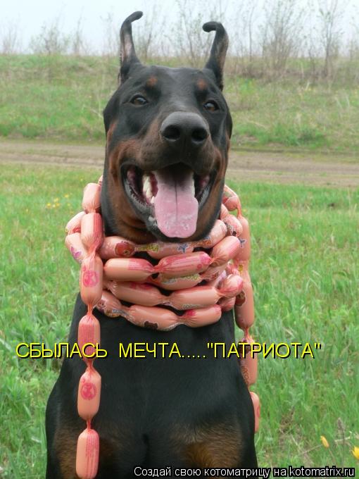 Котоматрица: СБЫЛАСЬ  МЕЧТА....."ПАТРИОТА"