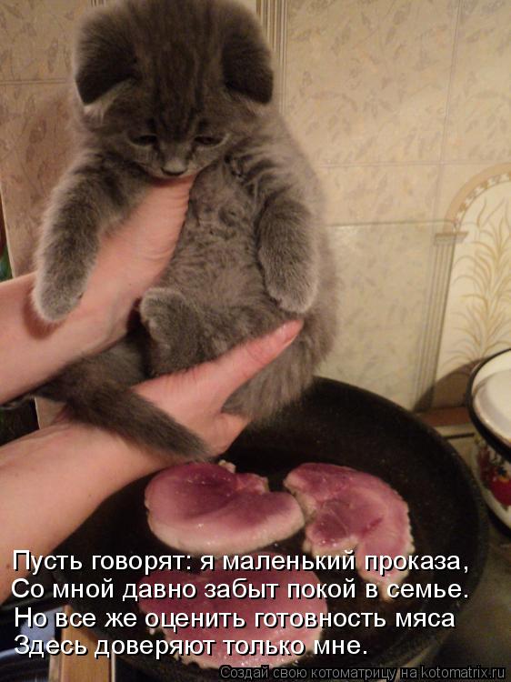 Пусть говорят: я маленький проказа, Со мной давно забыт покой в семье. Но все же оценить готовность м... Котоматрица: Пусть говорят: я маленький проказа, Со мной давно забыт покой в семье. Но все же оценить готовность мяса Здесь доверяют только мне.