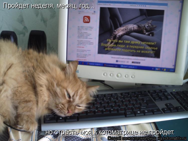 Котоматрица: Пройдет неделя, месяц, год... Пройдет неделя, месяц, год... но страсть моя к котоматрице не пройдет.