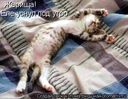 Котоматрица: Жарища! Еле уснул под утро