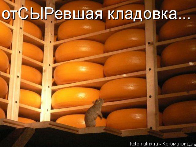 Котоматрица: отСЫРевшая кладовка...