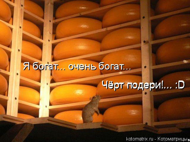 Котоматрица: Я богат... очень богат... Чёрт подери!... :D Чёрт подери!... :D