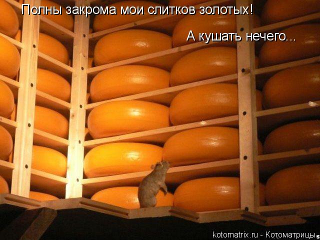 Котоматрица: Полны закрома мои слитков золотых! А кушать нечего...
