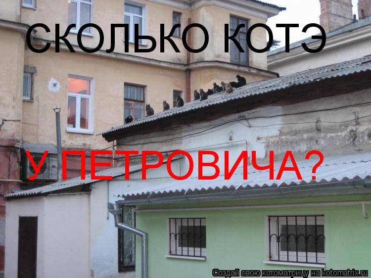 СКОЛЬКО КОТЭ У ПЕТРОВИЧА?... Котоматрица: СКОЛЬКО КОТЭ У ПЕТРОВИЧА?
