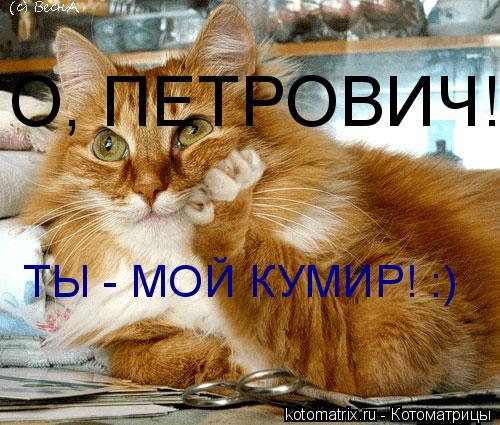 О, ПЕТРОВИЧ! ТЫ - МОЙ КУМИР! :)... Котоматрица: О, ПЕТРОВИЧ! ТЫ - МОЙ КУМИР! :)