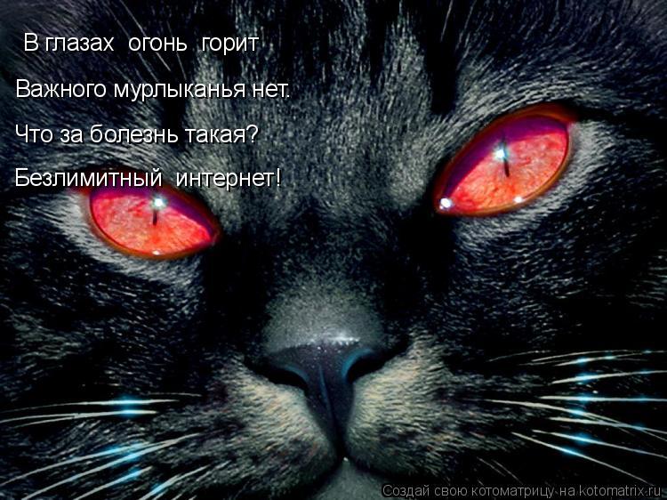 В глазах огонь горит Важного мурлыканья нет. Что за болезнь такая? Безлимитный интернет!... Котоматрица: В глазах огонь горит Важного мурлыканья нет. Что за болезнь такая? Безлимитный интернет!
