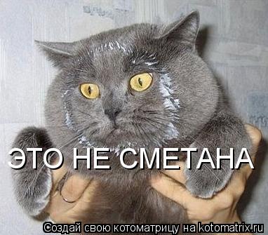 ЭТО НЕ СМЕТАНА... Котоматрица: ЭТО НЕ СМЕТАНА