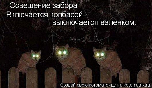 Освещение забора. Включается колбасой, выключается валенком.... Котоматрица: Освещение забора. Включается колбасой, выключается валенком.