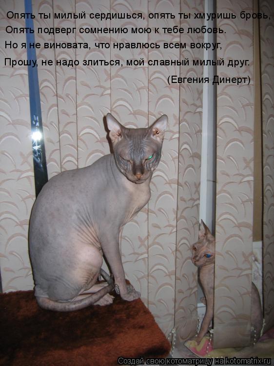 Опять ты милый сердишься, опять ты хмуришь бровь, Опять подверг сомнению мою к тебе любовь. Но я не ... Котоматрица: Опять ты милый сердишься, опять ты хмуришь бровь, Опять подверг сомнению мою к тебе любовь. Но я не виновата, что нравлюсь всем вокруг, Прошу