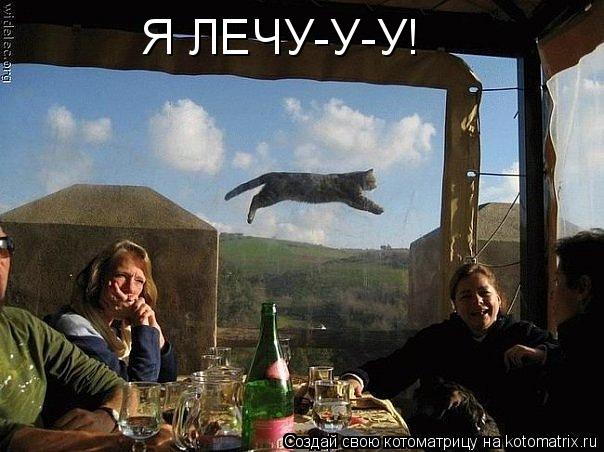 Я ЛЕЧУ-У-У!... Котоматрица: Я ЛЕЧУ-У-У!