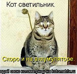 Кот светильник. Скоро и на аккумуляторе.... Котоматрица: Кот светильник. Скоро и на аккумуляторе.