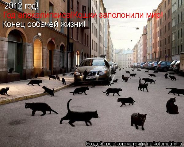 2012 год! Год апокалипсиса!Кошки заполонили мир! Конец собачей жизни!... Котоматрица: 2012 год! Год апокалипсиса!Кошки заполонили мир! Конец собачей жизни!