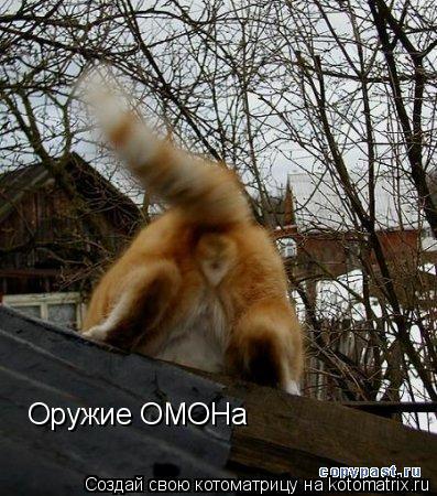 Оружие ОМОНа... Котоматрица: Оружие ОМОНа