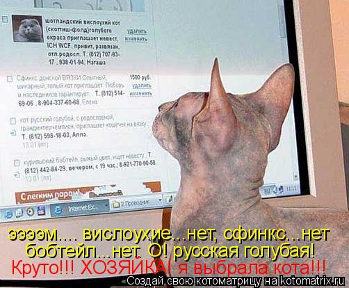 ээээм.... вислоухие...нет, сфинкс...нет бобтейл...нет. О! русская голубая! Круто!!! ХОЗЯЙКА! я выбрал... Котоматрица: ээээм.... вислоухие...нет, сфинкс...нет бобтейл...нет. О! русская голубая! Круто!!! ХОЗЯЙКА! я выбрала кота!!!