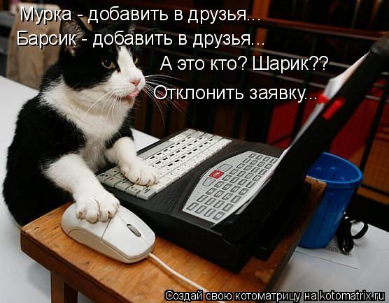 Мурка - добавить в друзья... Барсик - добавить в друзья... А это кто? Шарик?? Отклонить заявку...... Котоматрица: Мурка - добавить в друзья... Барсик - добавить в друзья... А это кто? Шарик?? Отклонить заявку...
