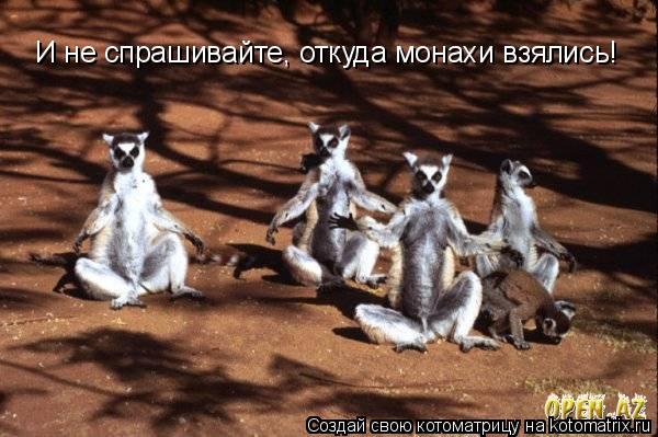 И не спрашивайте, откуда монахи взялись!... Котоматрица: И не спрашивайте, откуда монахи взялись!