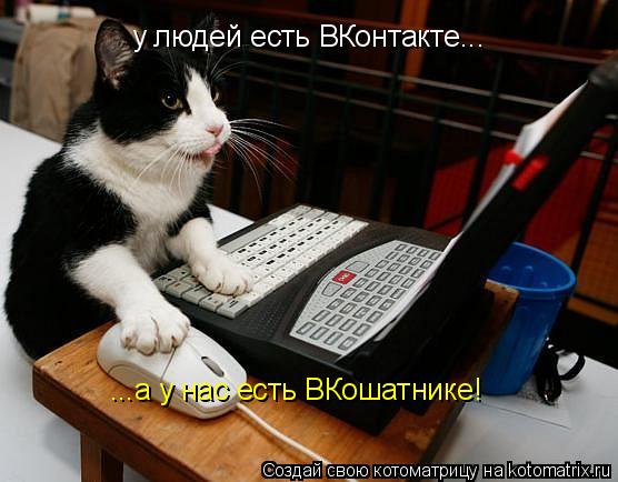 у людей есть ВКонтакте... ...а у нас есть ВКошатнике!... Котоматрица: у людей есть ВКонтакте... ...а у нас есть ВКошатнике!