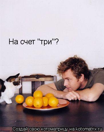 На счет "три"?... Котоматрица: На счет "три"?