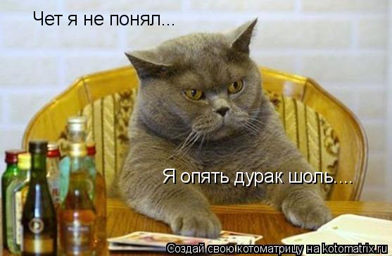 Чет я не понял... Я опять дурак шоль....... Котоматрица: Чет я не понял... Я опять дурак шоль....