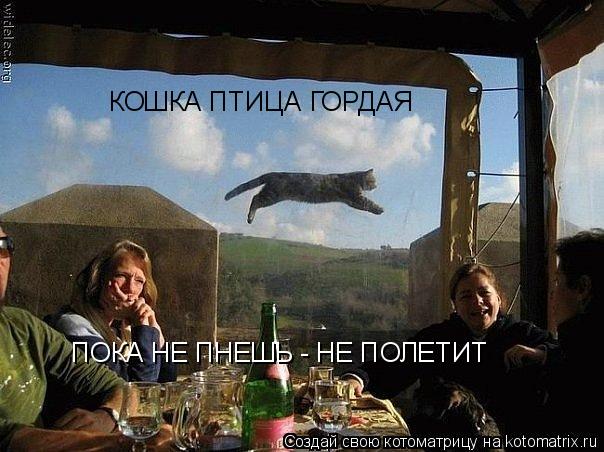 КОШКА ПТИЦА ГОРДАЯ ПОКА НЕ ПНЕШЬ - НЕ ПОЛЕТИТ... Котоматрица: КОШКА ПТИЦА ГОРДАЯ ПОКА НЕ ПНЕШЬ - НЕ ПОЛЕТИТ