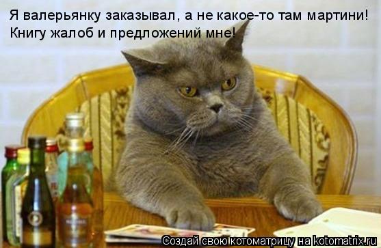 Я валерьянку заказывал, а не какое-то там мартини! Книгу жалоб и предложений мне!... Котоматрица: Я валерьянку заказывал, а не какое-то там мартини! Книгу жалоб и предложений мне!