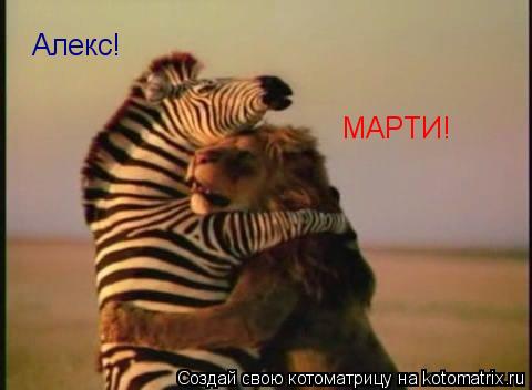 МАРТИ! Алекс!... Котоматрица: МАРТИ! Алекс!