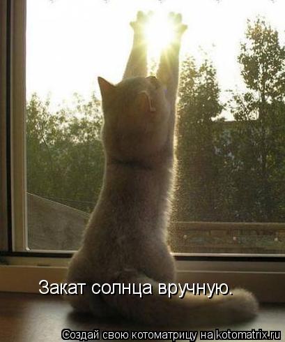 Закат солнца вручную.... Котоматрица: Закат солнца вручную.