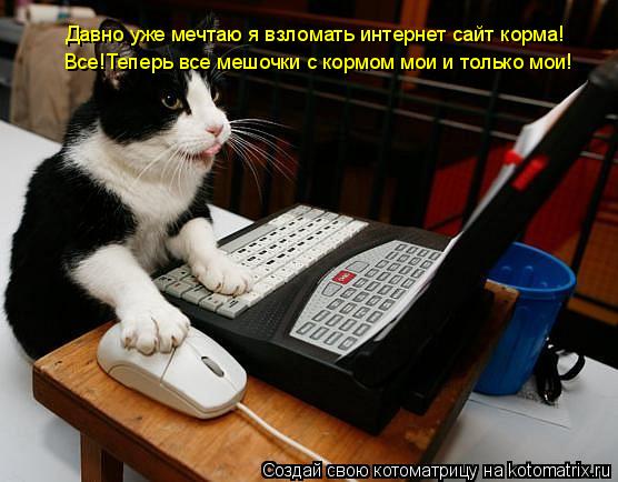 Давно уже мечтаю я взломать интернет сайт корма! Все!Теперь все мешочки с кормом мои и только мои!... Котоматрица: Давно уже мечтаю я взломать интернет сайт корма! Все!Теперь все мешочки с кормом мои и только мои!
