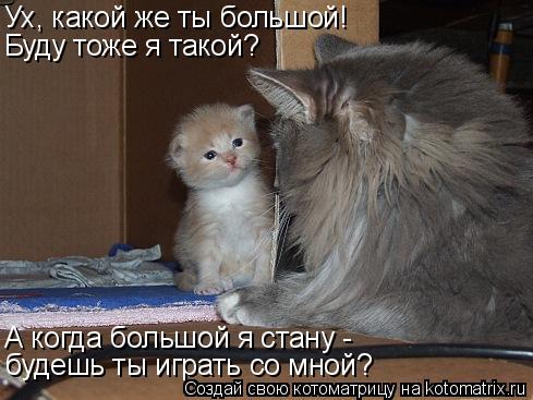 будешь ты играть со мной? А когда большой я стану - Ух, какой же ты большой! Буду тоже я такой?... Котоматрица: будешь ты играть со мной? А когда большой я стану - Ух, какой же ты большой! Буду тоже я такой?