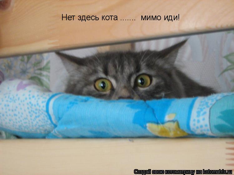 Котоматрица: Нет здесь кота .......  мимо иди!