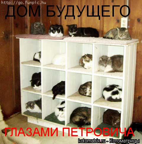 Котоматрица: ДОМ БУДУЩЕГО ГЛАЗАМИ ПЕТРОВИЧА