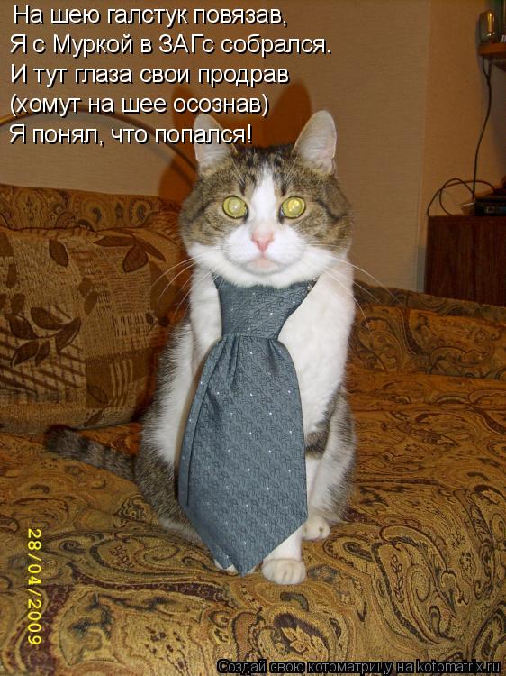 Котоматрица: На шею галстук повязав,  Я с Муркой в ЗАГс собрался. И тут глаза свои продрав (хомут на шее осознав) Я понял, что попался!