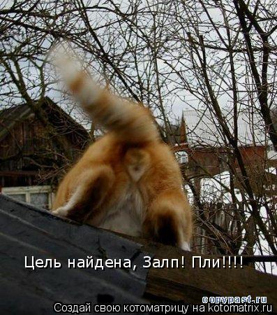 Цель найдена, Залп! Пли!!!!... Котоматрица: Цель найдена, Залп! Пли!!!!