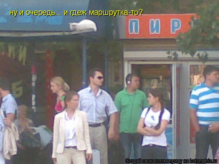 ну и очередь... и гдеж маршрутка-то?... Котоматрица: ну и очередь... и гдеж маршрутка-то?