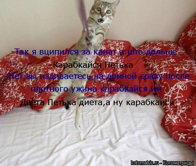 -Так я вципился за канат а што дальше -Карабкайся Петька -Нет вы издиваетесь на домной сразу после пл... Котоматрица: -Так я вципился за канат а што дальше -Карабкайся Петька -Нет вы издиваетесь на домной сразу после плотного ужина карабкайся им Диета Петьк