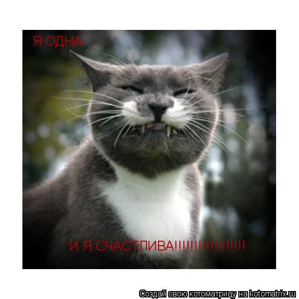 Я ОДНА И Я СЧАСТЛИВА!!!!!!!!!!!!!!!!!!... Котоматрица: Я ОДНА И Я СЧАСТЛИВА!!!!!!!!!!!!!!!!!!