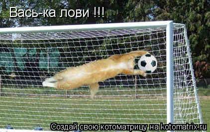 Вась-ка лови !!!... Котоматрица: Вась-ка лови !!!