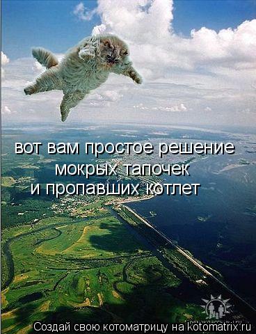Котоматрица: вот вам простое решение мокрых тапочек  и пропавших котлет